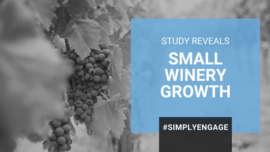 Blog - Small Winery Growth