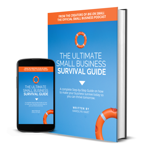 The Ultimate Small Business Survival Guide (Mobile and Book) 600x600