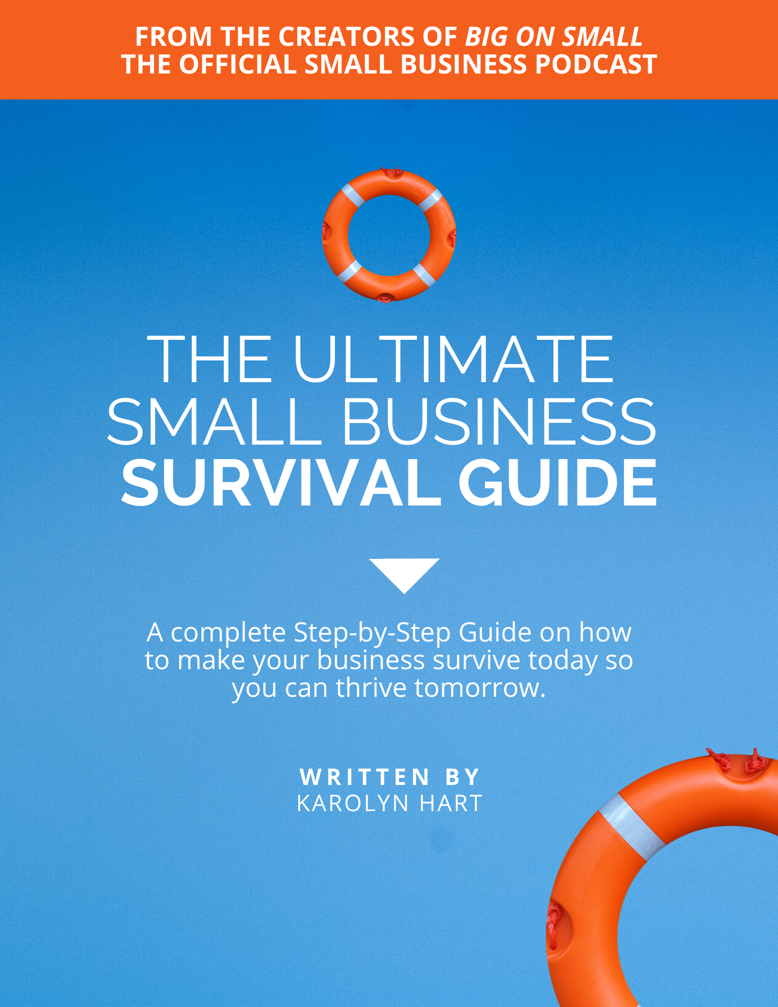 The Ultimate Small Business Survival Guide